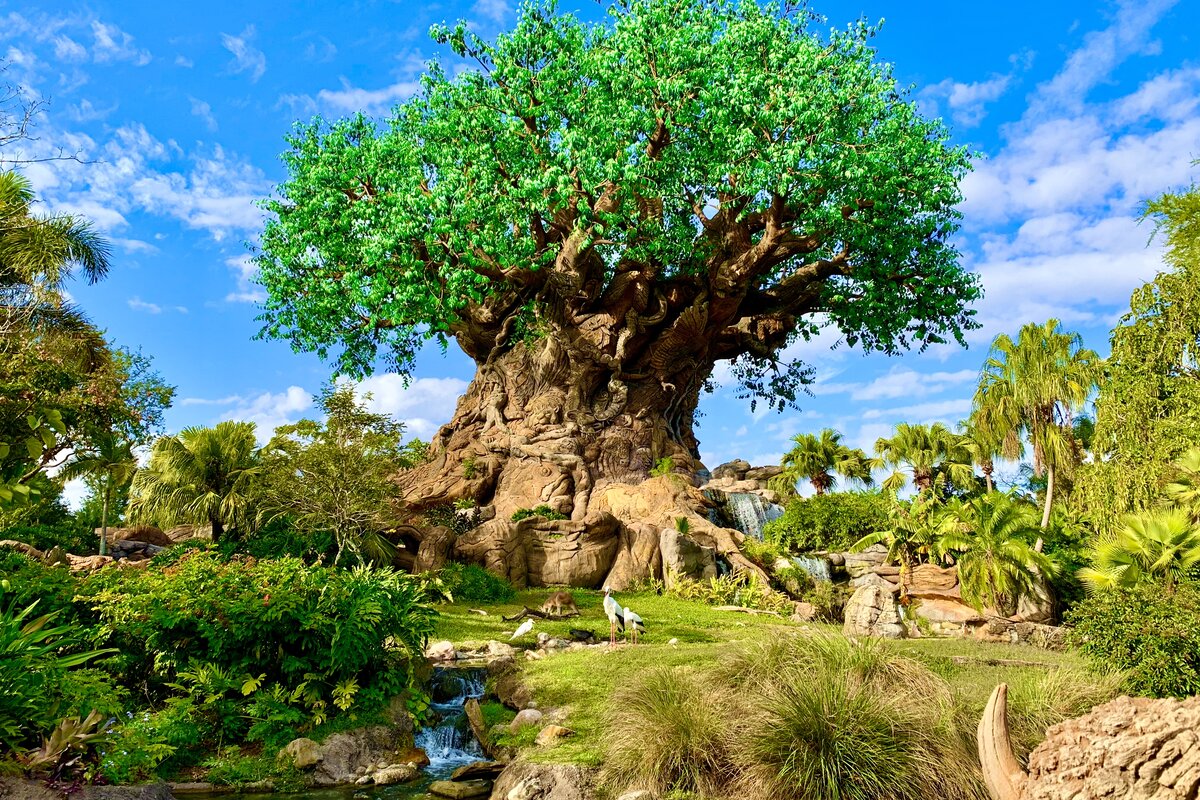 Animal Kingdom