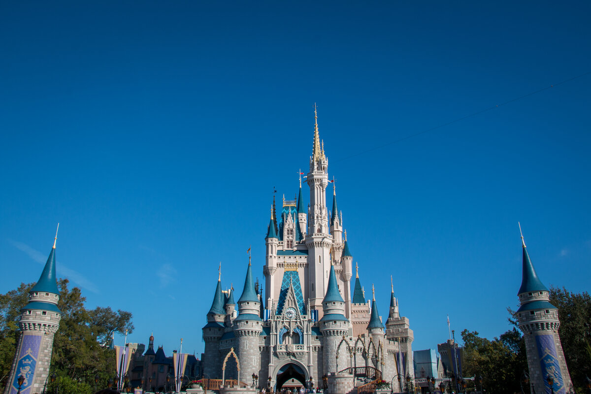 Walt Disney World